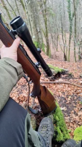Sauer 80