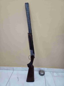 Browning B 725