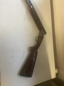 Blaser F16