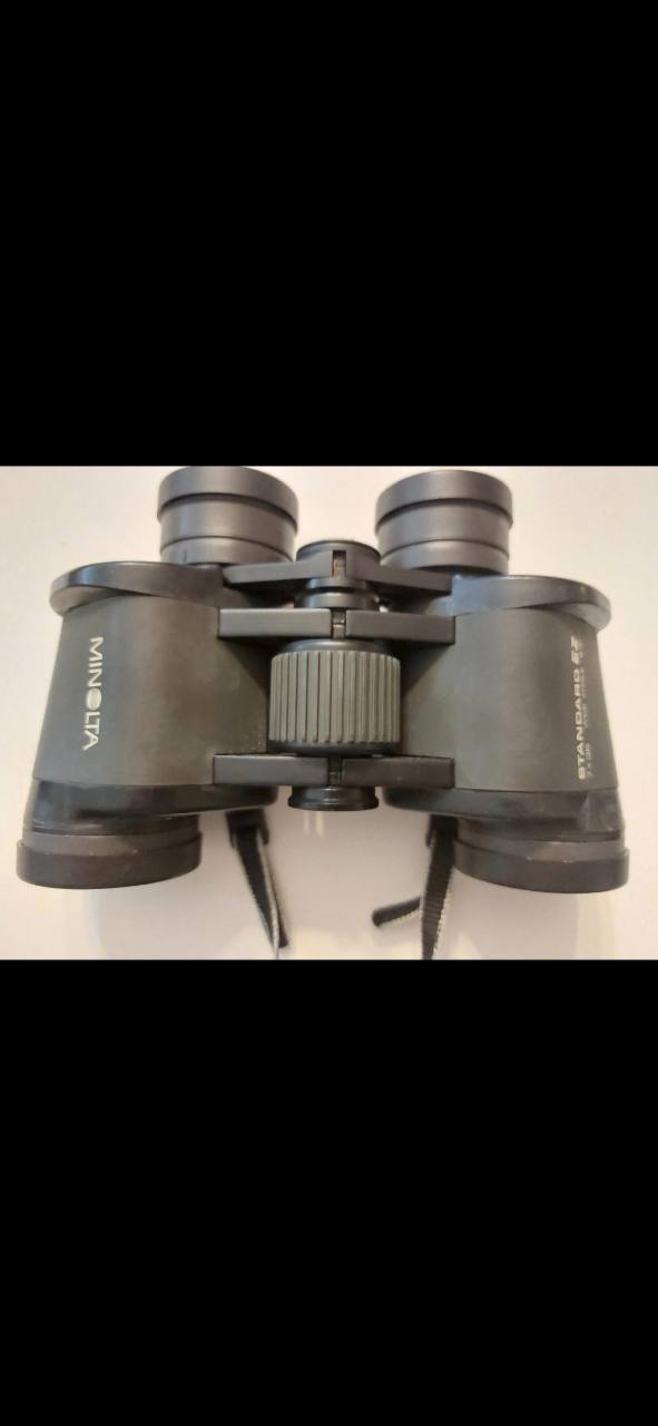 Minolta