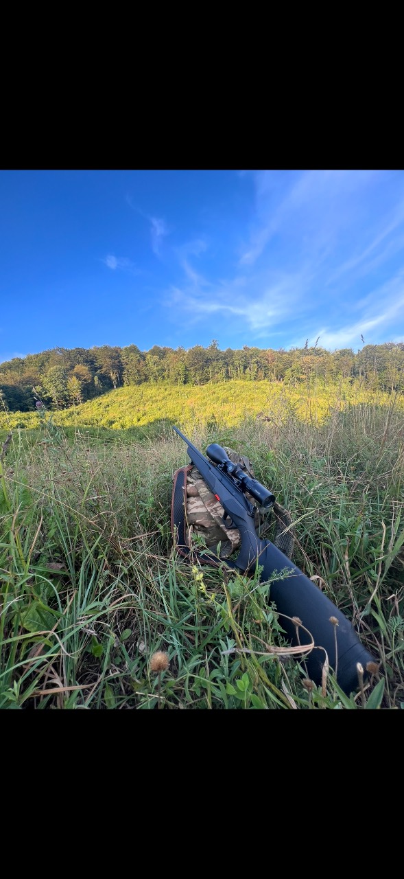 BERETTA BRX1