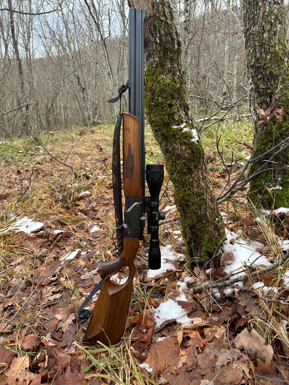 ČZ ZH304