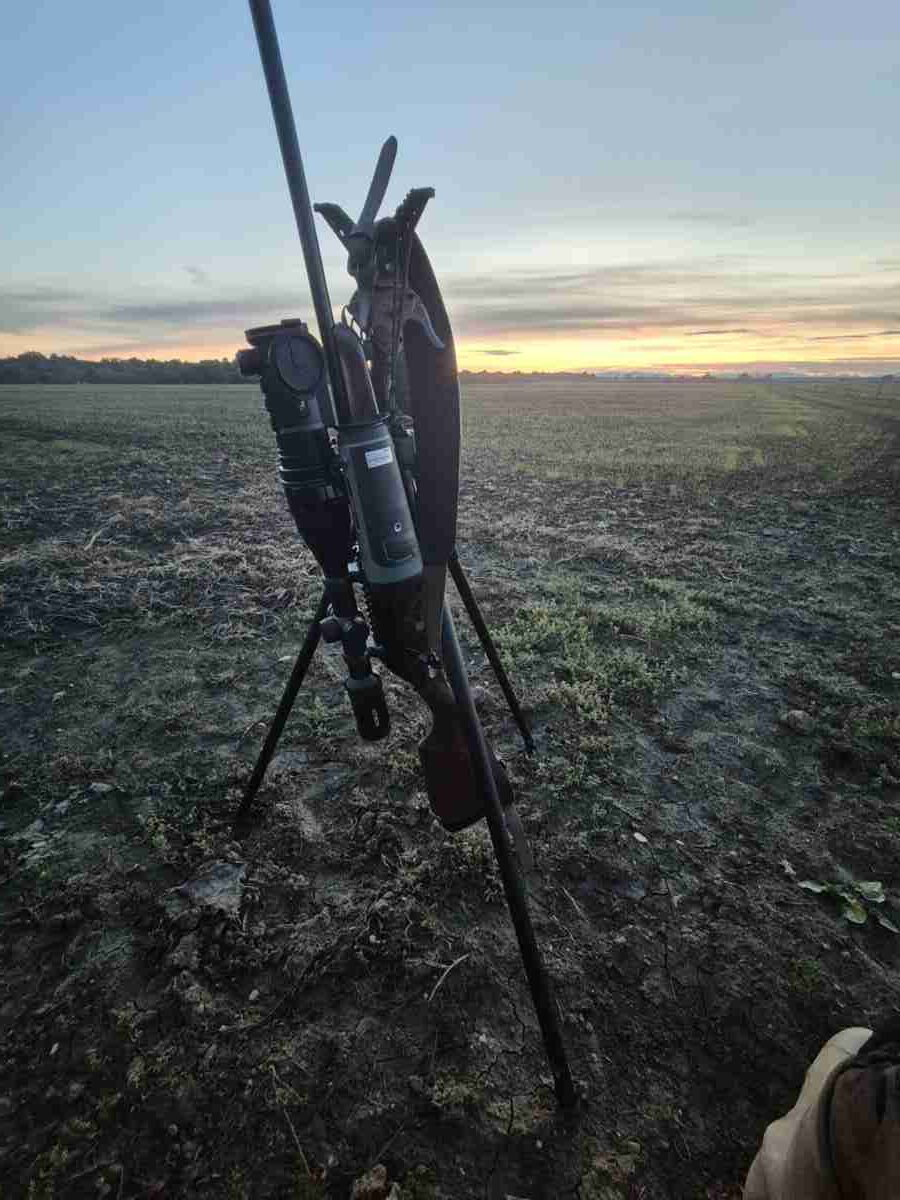Benelli Lupo 30-06 + optika + termalna