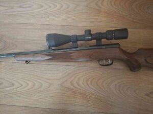KRICO 300 LUX 22HORNET