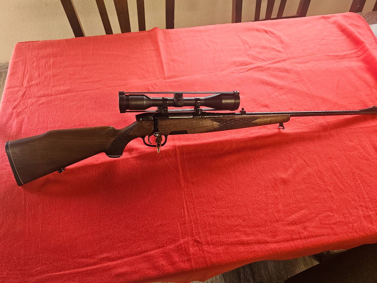 Steyer 243