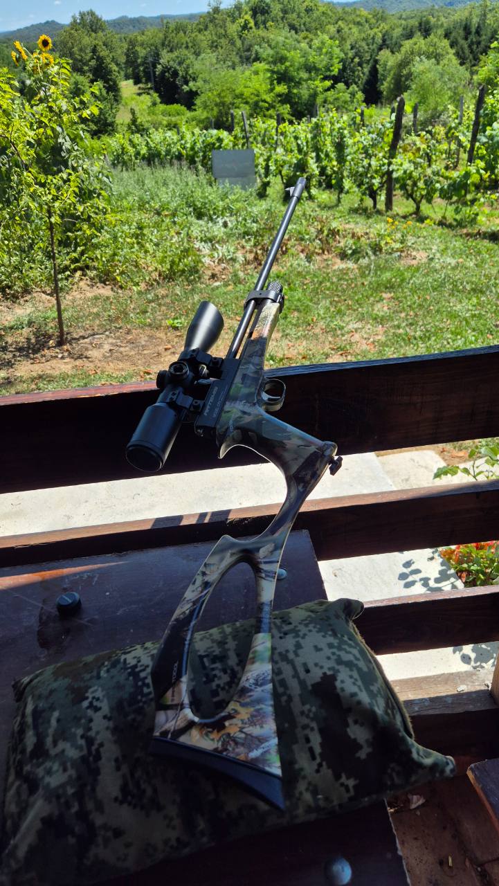 Artemis CP2 zračna puška/pištolj
