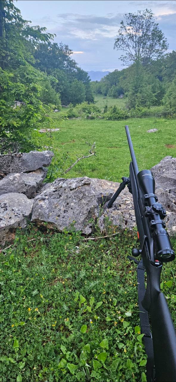 Beretta brx1