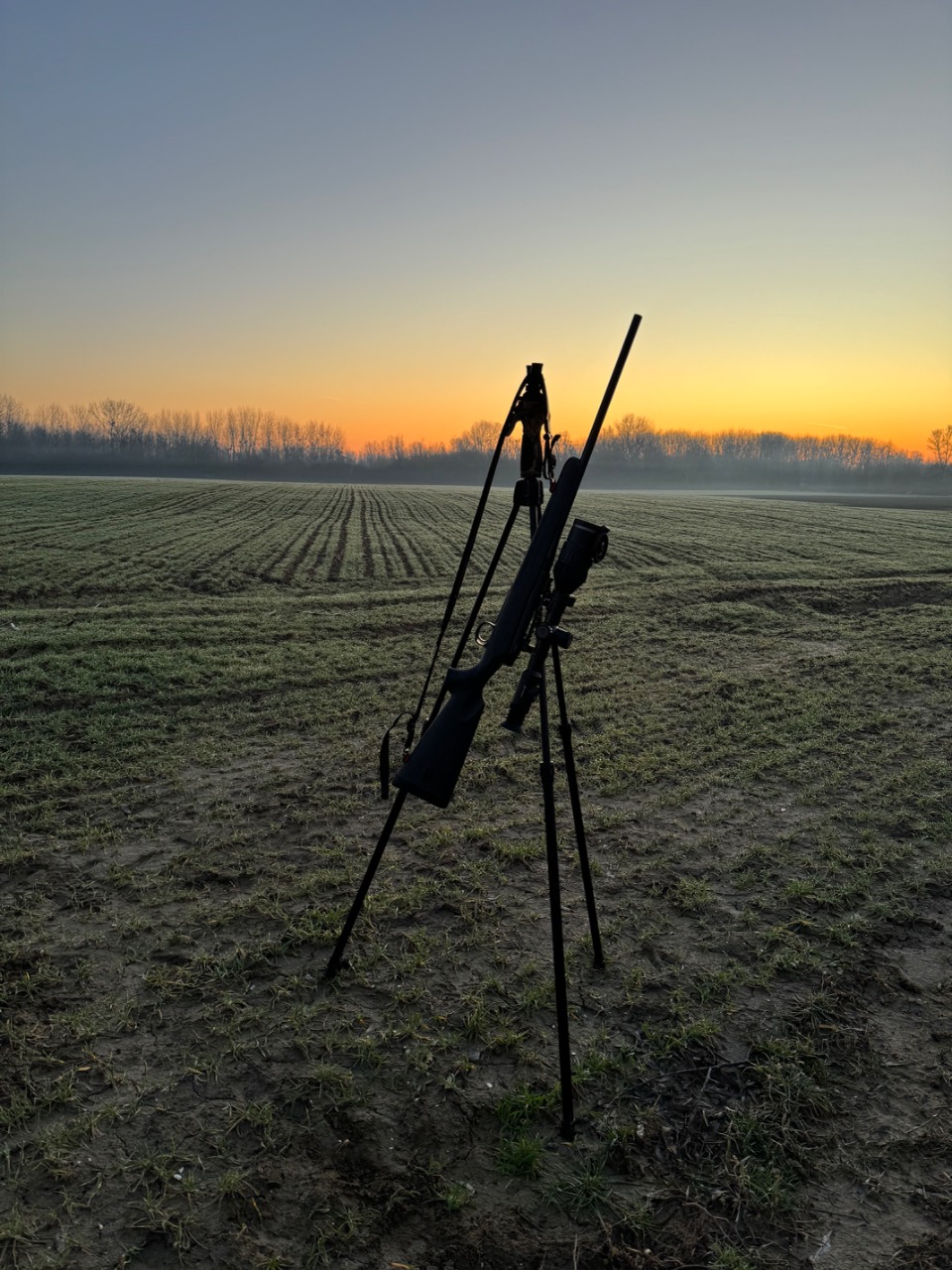 Mauser M18 30.06 + Pulsar Digex c50