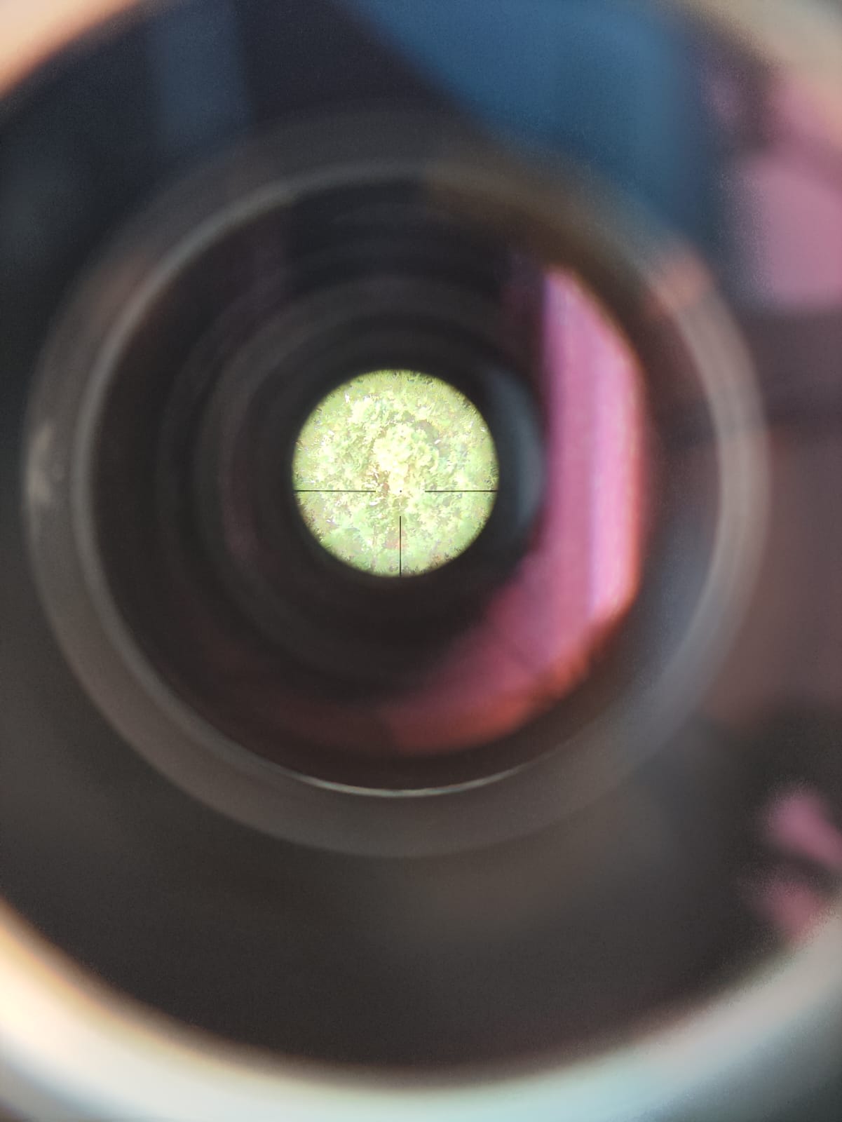 Zeiss Victory Varipoint M 3-12×56 T* s osvijetljenom točkom