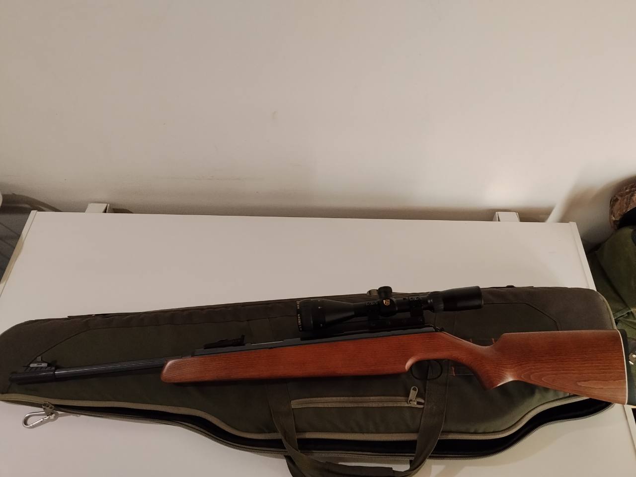 Diana model 48