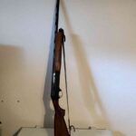 Benelli Raffaello special