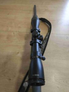 DIANA R-22 Carbon .22LR