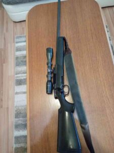 Steyr ssg 308 win