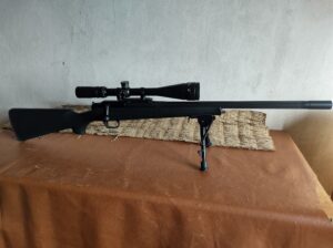 Karabin Blaser R93