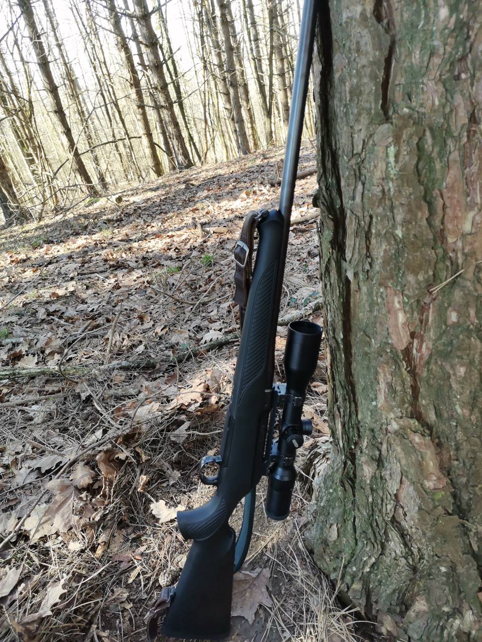 Sauer 101 XT 30.06, Meostar R1 3-12×56