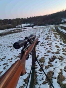 stayer manlicher 3006